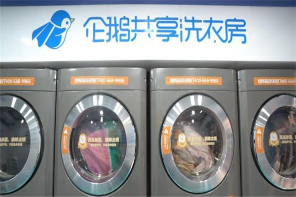 企鹅共享洗衣机